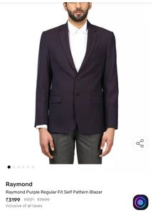 Raymond Blazer Men&#39;s Elegant