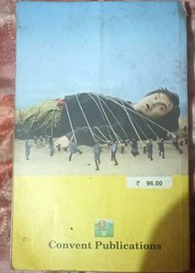 Novel