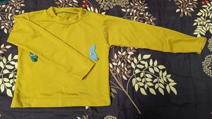 Yellow Top Haldi Colour
