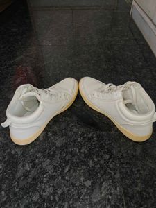 Orignal Us polo White Sneakers