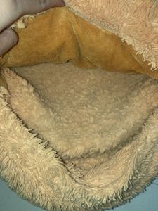 Teddy Bear Storage