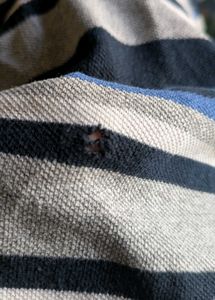 Polo Tshirt For Men's