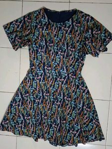 Floral Print Fit & Flare Dress