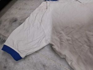 Vibrant Casual Polo Tshirt Men