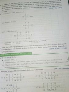 Xamidea Science Class 10 - 2024-25 Edition