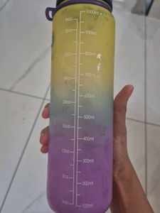 Ombre Dinosaur Water Bottle