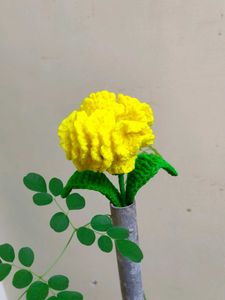 Crochet carnation Flower