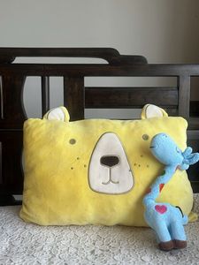 Cute Bear Pillow & Giraffe Plushie