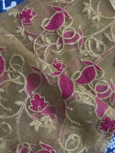Elegant Embroidered Dupatta