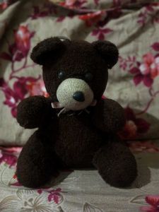 Cute Teddy Bear