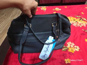 Stylish Handbag by tapsee pannu baggit brand new