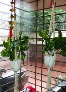 PLANT HANGER