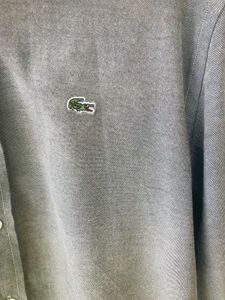 MEN SHIRT LACOSTE ⭐️GREY