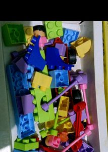 Zoo Set For Kids