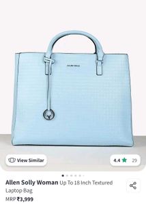 Allen Solly Office bag