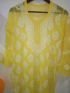 New Lucknavi Chickenkari Kurtis (2)