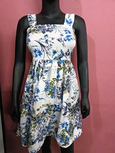 Floral Print Fit & Flare Mini Dress