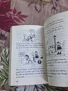 diary of a wimpy kid aa novel in cartoon