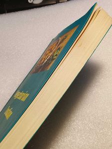 Vegetarian Indian Cooking