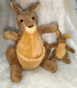 Mama And Baby Kangaroo Plus
