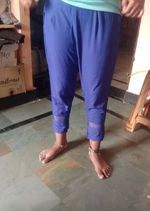 Trouser In Low Price