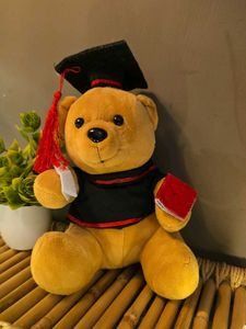 Graduation Bear Plush
