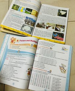 ICSE 6 Class Textbooks Combo