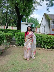Organza Saree