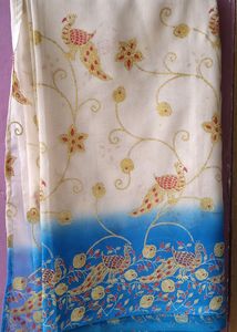 Beautiful Saree 💙