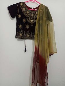 Velvet Embellished Lehenga Choli Set