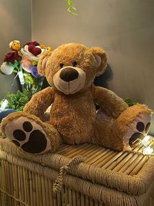 Adorable Teddy Bear Trio