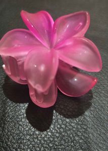 Cute Hair Clip Bundle