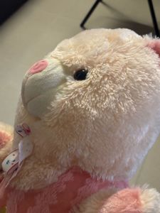 Cute Teddy Bear