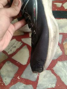 campus sports shoes