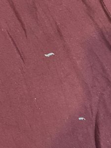 Maroon Wide Leg Pants