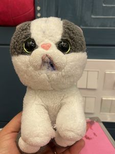 Cute Plush Cat Toy