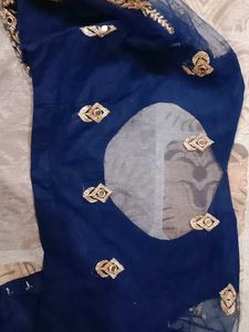 Elegant Grey Saree ,Blouse And Peticoat Newly Sare