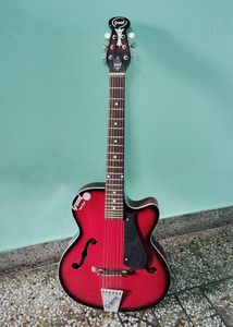 Guitar With Cover
