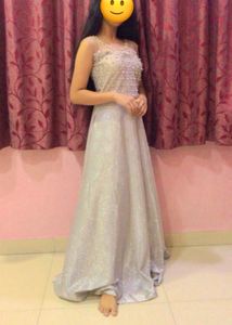 Silver Brightning Party Wear Gown