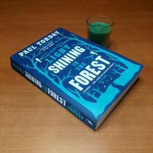 Light Shining In The Forest - Paul Torday