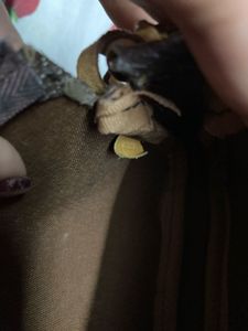 ThLouis Vuitton Pochette accessoire leather handba