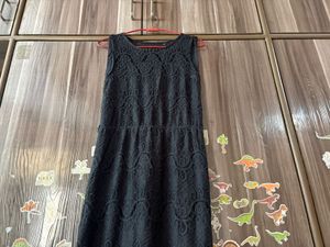 Elegant Black Lace Dress