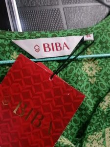 Biba Elegant Green Kurta