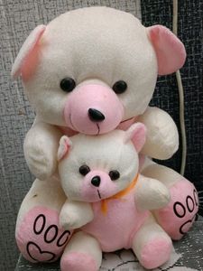 2 In 1 Teddy Bear