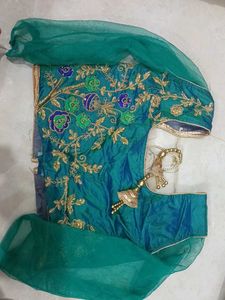 Embroidered Lehenga Choli