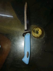 FREE Knife Stand With 5 Sharp Kitchen Knives Set