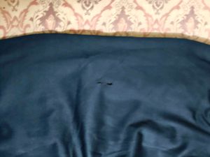 Navy Blue Track Pant