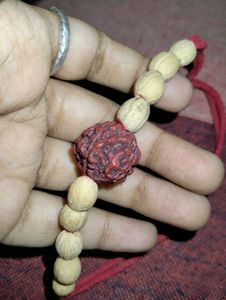 Rudraksha (Panchamukhi)