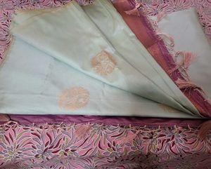 Elegant Pista greenSaree Blouse