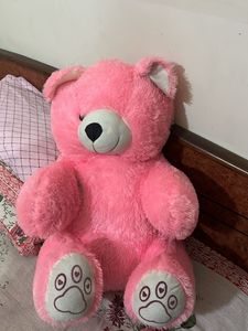 Pink Teddy For Kids